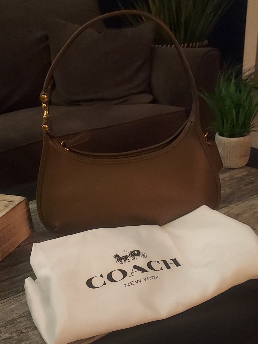 Coach Eve Shoulder Bag in Dark Stone- Sold Out-Never Carried- with Dustbag- NWOT
